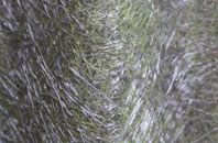 Woodston fibreglass roof work